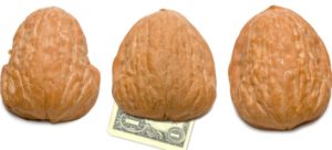 Walnut Shells hiding a dollar